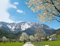 Hotel Schneeberghof **** Ausblick in die Berge vom Hotel Schneeberghof