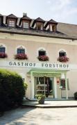 Landhotel Forsthof Landhotel Forsthof